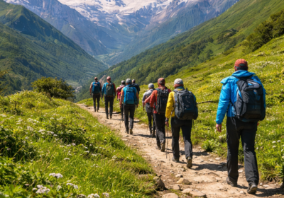 Top Beginner-Friendly Treks in the Himalayas